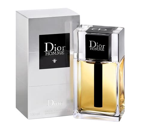 christian dior parfum homme prix|christian Dior Homme parfum review.